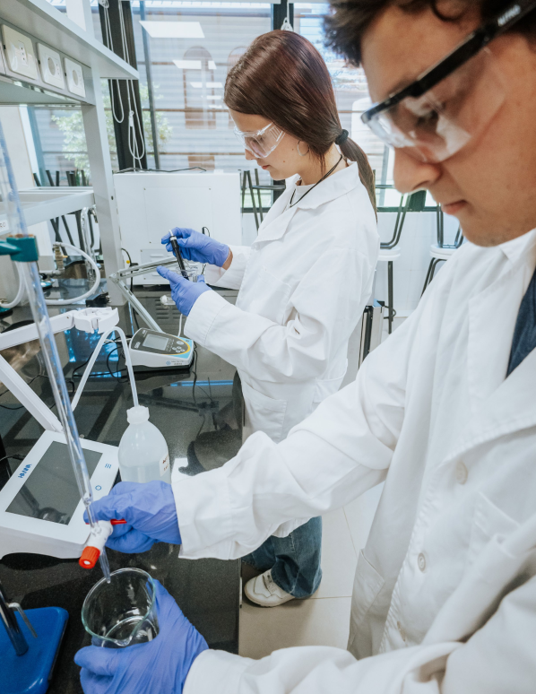 portada artículo microalgas